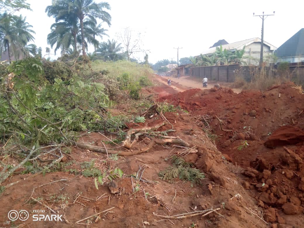 HEARTBROKEN NNEWI FARMER WEEPS UNCONTROLLABLY AFTER STATE GOVERNMENT DEMOLISHED HIS CASSAVA FARM