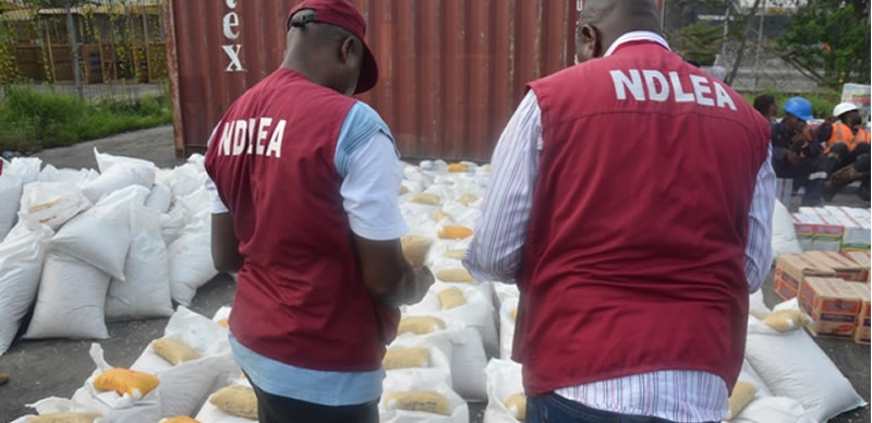 Kano NDLEA Makes Significant Strides: 1,016 Drug Suspects Apprehended, 9 Tons of Illicit Drugs Seized