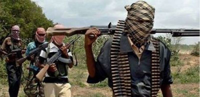 Bandits Kill Village Head and Eight Others in Katsina; Calls for Joint Regional Efforts to Tackle Insecurity