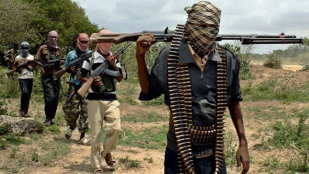 Gunmen unleashed a deadly assault in Plateau State, claiming the lives of at least 30 individuals in Kwahaslalek village, Mangu Local Government Area.