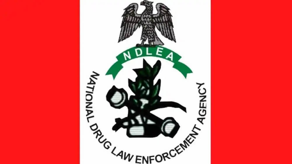 NDLEA Issues Wanted Notice for Former Beauty Queen; Arrests Brazil Returnee