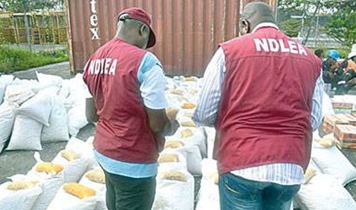 NDLEA Records Conviction of 67 Drug Traffickers in Edo State