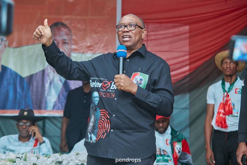 Peter Obi Commends Nigerian Artist for Setting Guinness World Record in Painting