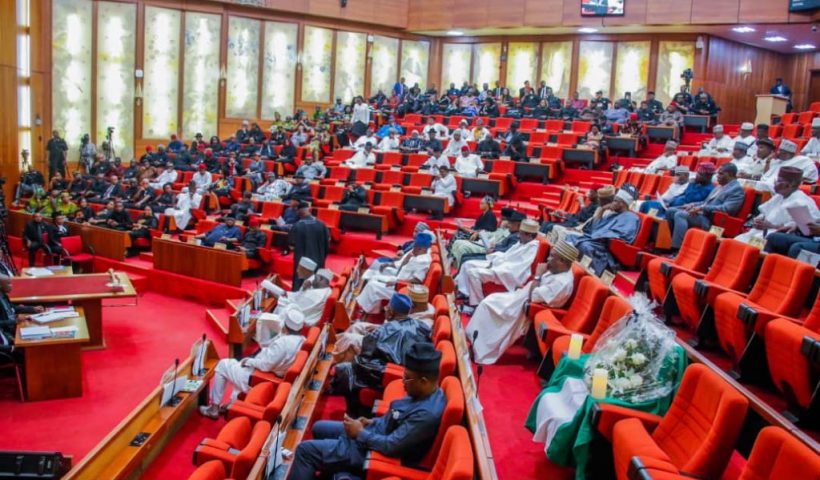 Senate Plans to Address Nigerian's Security Concerns